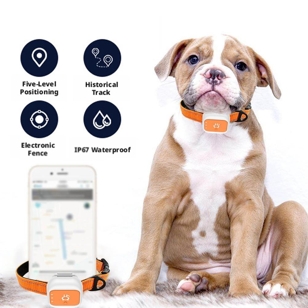 Dog GPS Tracker Collar, No Monthly Fee, Real-Time Location Tracking, Virtual Fence, Daily Historical Route, Activity Monitor & Sound Light Alert