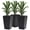Black 478, variant on Tall Planters for Outdoor Patio, Set of 3 Black Plastic Flower Pots with Drainage Holes for Indoor Porch, Deck, Entryway Decor