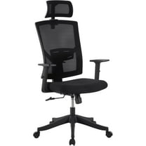 High Back Ergonomic Office Chair, Adjustable Lumbar Support & Headrest, Swivel Task Chair, Height-Adjustable Rocking Mesh Computer Desk Chair, for Home Office, Black