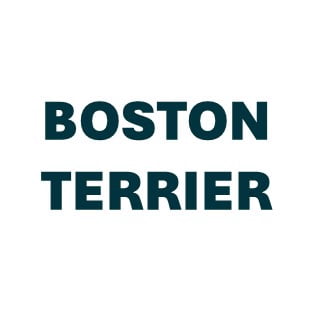 Boston Terrier Pill Butter