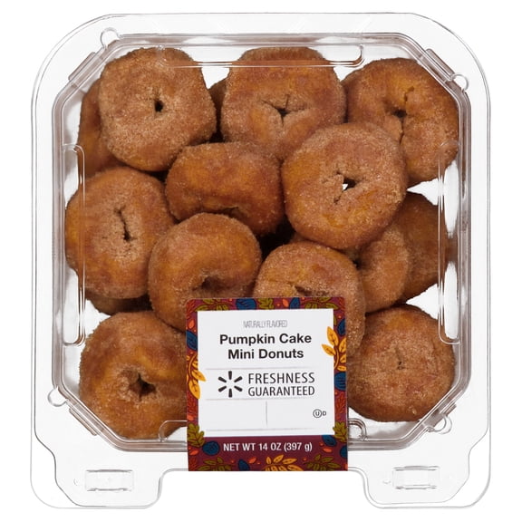 Freshness Guaranteed Harvest Pumpkin Cake Mini Donuts, 14 oz