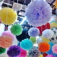 thumbnail image 6 of Efavormart 6 PCS Paper Tissue Wedding Birthday Party Banquet Event Festival Paper Flower Pom Pom - Pink 10 inch, 6 of 11
