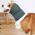Smooth Dog Head Wrap Ease Nervousness and Fear in Dogs for Separation
