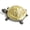 Gold, variant on Cast Iron Turtle Key Hider, Weatherproof Outdoor Hidden Key Box for Garden Yard Patio