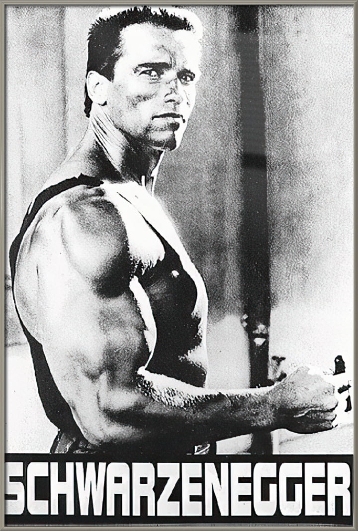 Arnold Schwarzenegger Bodybuilding Photo Poster Wall Print Arnie Mr Universe 04 