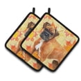 thumbnail image 1 of Carolines Treasures BB9901PTHD Allemand Boxeur Automne Paire de Porte-Pots, 1 of 3