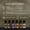 thumbnail image 4 of Aceite aromático Eternal Essence Oils para fondue de chocolate, 30 ml, 4 of 6