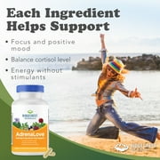 RidgeCrest Herbals Adrenal Fatigue Fighter, Stress and Energy Support Supplement with Ashwagandha, L-Theanine, Ginseng, Schisandra, Taurine, Holy Basil, B Vitamins (60 Vegan Caps, 30 Serv)