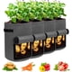 thumbnail image 5 of Nvzi Paquete de 4 bolsas para cultivo de patatas de 10 galones con solapa, bolsas de cultivo de tela resistente con asa y ventana de cosecha, bolsas para cultivo de plantas en el jardín, color gris, 5 of 5