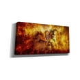thumbnail image 2 of Cortesi Home 'Phoenix Newborn' by Mario Sanchez Nevado, Canvas Wall Art, 60"x30", 2 of 3