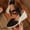 Black, variant on Womens Espadrilles Wedges Sandals Wedge Platform Sandals Mesh Comfortable Closed Toe Ankle Strap Buckle Casual Summer Wedge Heels Hot Pink 43(US-10)