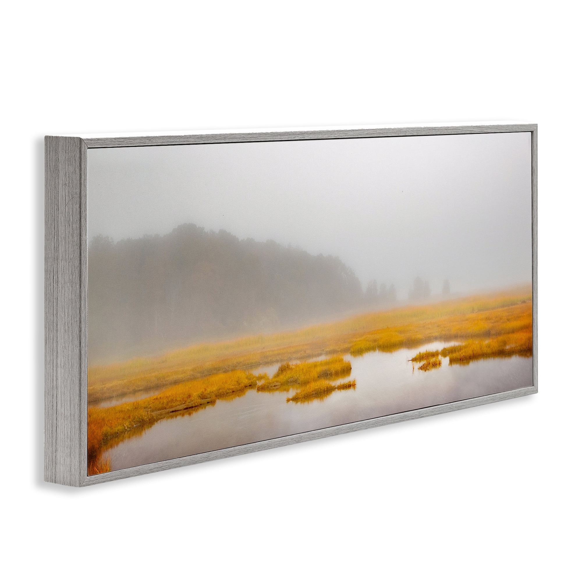 Stupell Industries Flooded Marshland Landscape Landscape Photography Gray Framed Art Print Wall Art, 24 x 10