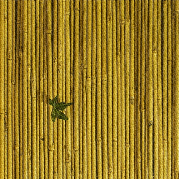 Ahgly Company Indoor Square Patterned Dark Bronze Brown Area Rugs, 4' Square