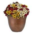 thumbnail image 2 of Honeysuckle Resin Flower Pot Planter - 13" Round Outdoor Indoor Plant Pot - Copper Finish, 2 of 4