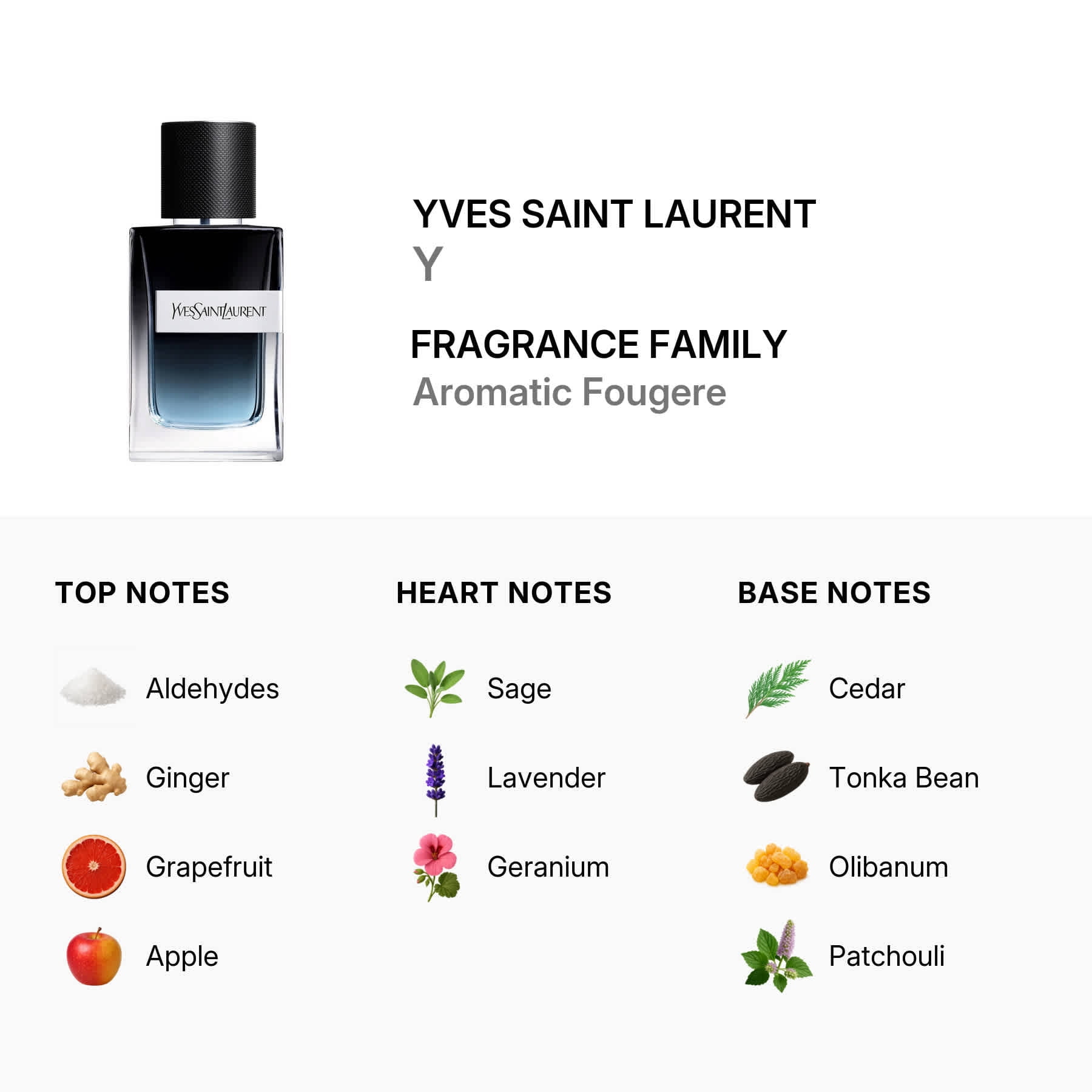 Yves Saint Laurent Y Eau De Parfum, Cologne for Men, 2 Oz