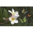 thumbnail image 1 of Tile Mural Kitchen Backsplash - Butterfly Dreams - by Jeff Wilkie, 1 of 1