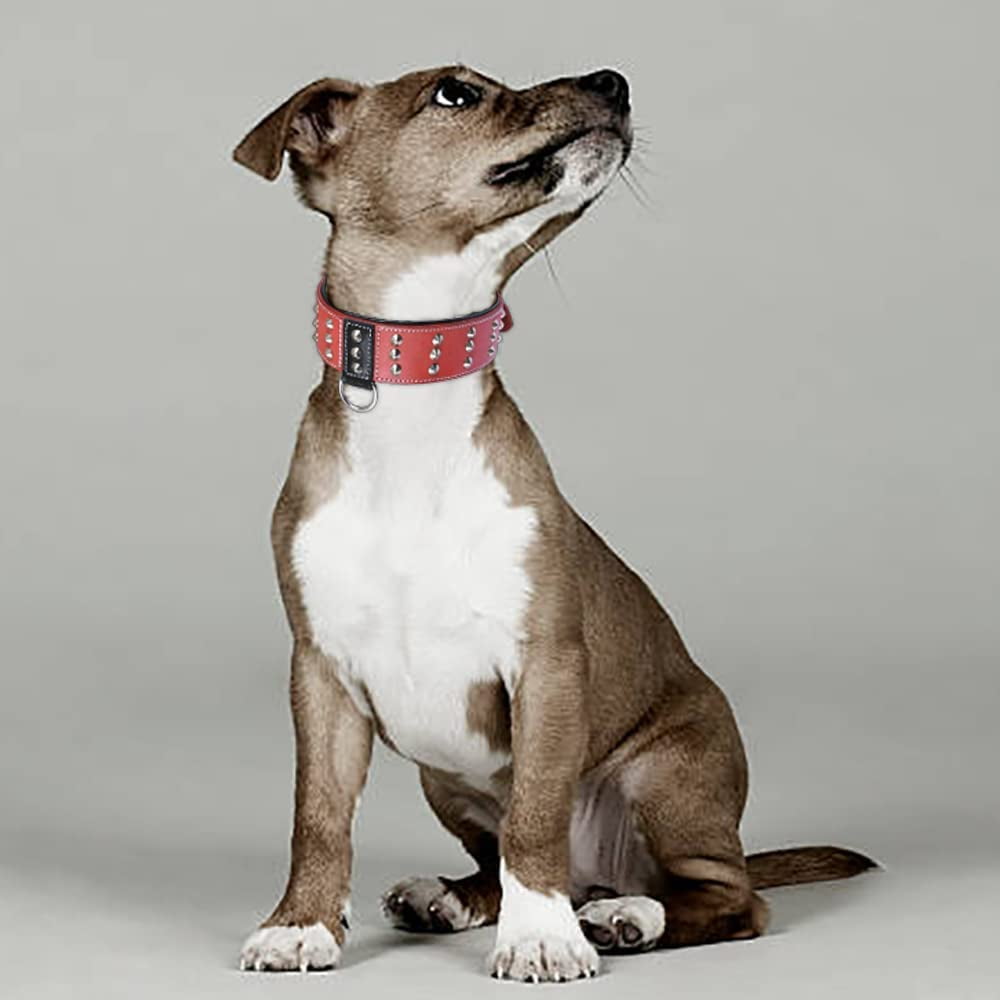 DowgClub | Genuine Leather Dog Collar with Riveted Spikes | Saddle Grade, Full Grain, Heavy Duty | Comfortable, Cushion Padding Inside, Strong | Best for Medium, Large, XL Breeds