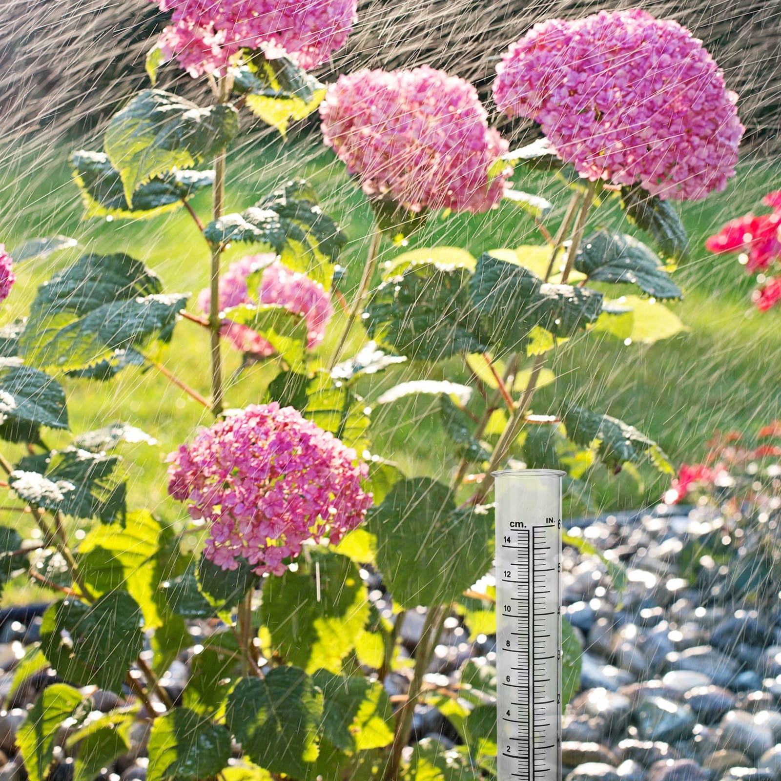 Raindrops 2Pcs Rain Measure Gauge Garden Accurate and Reliable for Homeowners