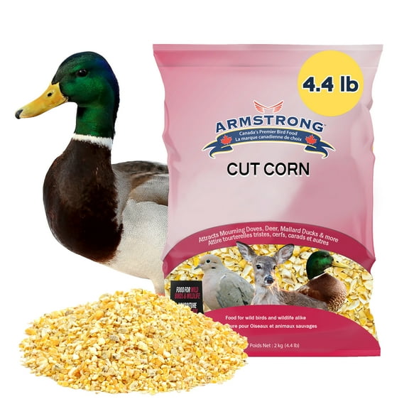 Armstrong Wild Bird Food Cut Corn, 4.4lbs