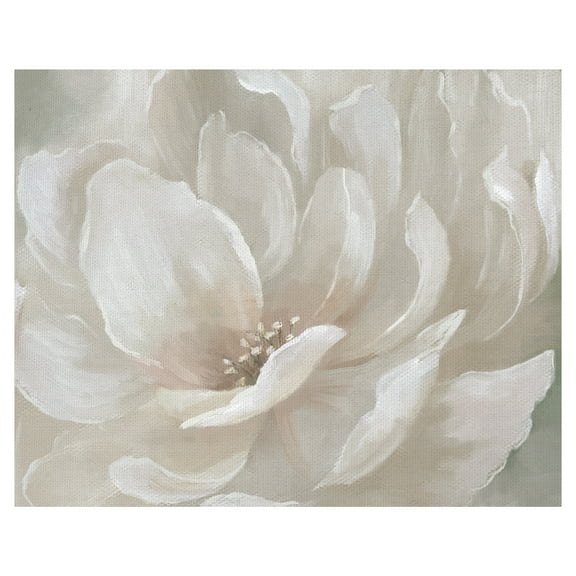 Fine Art Canvas Peach Perfect Flowers by Nan Canvas Art Print