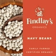 thumbnail image 4 of Findlay's Organics Navy Beans // Michigan Grown, USDA Organic Certified, Non-GMO, 25 Lbs., 4 of 8