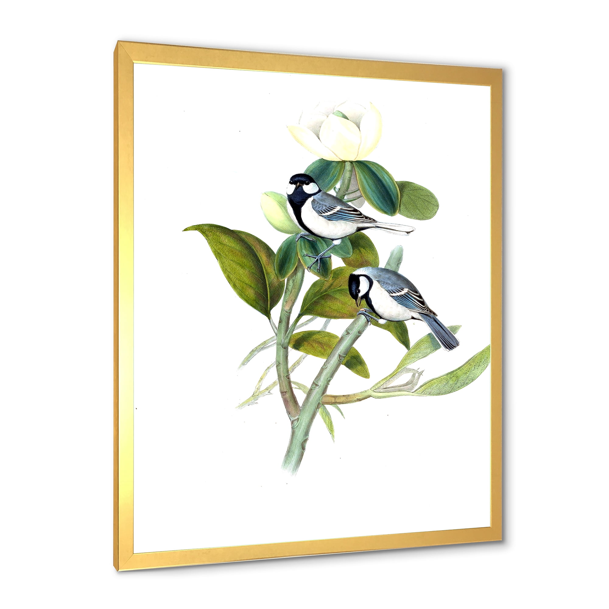 Designart 'Vintage Countryside Birds On Branch I' Farmhouse Framed Art Print