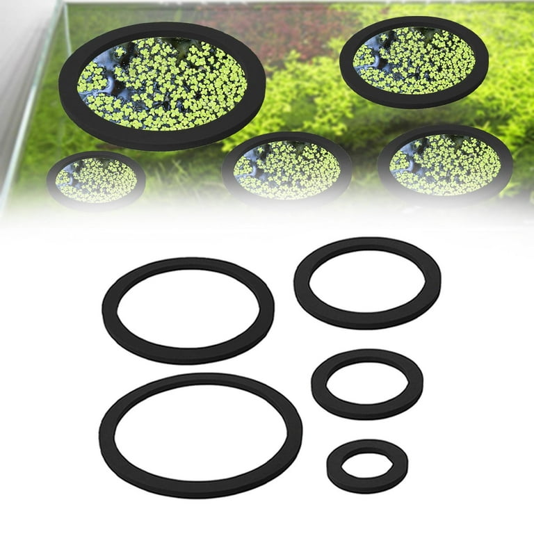 Betta Fish Accessories FITYLE Floating Plant Enclosure For Aquarium, 5 ...