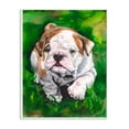 thumbnail image 1 of Stupell Industries English Bulldog Puppy Dog Pet Animal Watercolor Painting Wall Plaque Art by George Dyachenko, 1 of 3