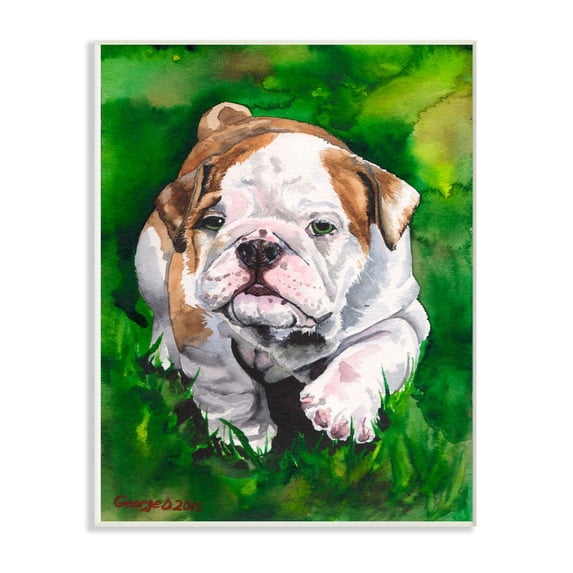 Stupell Industries English Bulldog Puppy Dog Pet Animal Watercolor Painting Wall Plaque Art by George Dyachenko