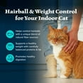 thumbnail image 5 of Blue Buffalo Wilderness Natural Dry Cat Food, Indoor Hairball Control, Chicken, 11-lb. Bag, 5 of 12
