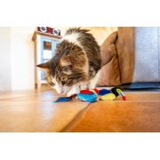 Vibrant Life Catnip Feather Bird Cat Toys, Parrot and Toucan, 2 Count