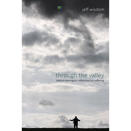 Through the Valley (Paperback)