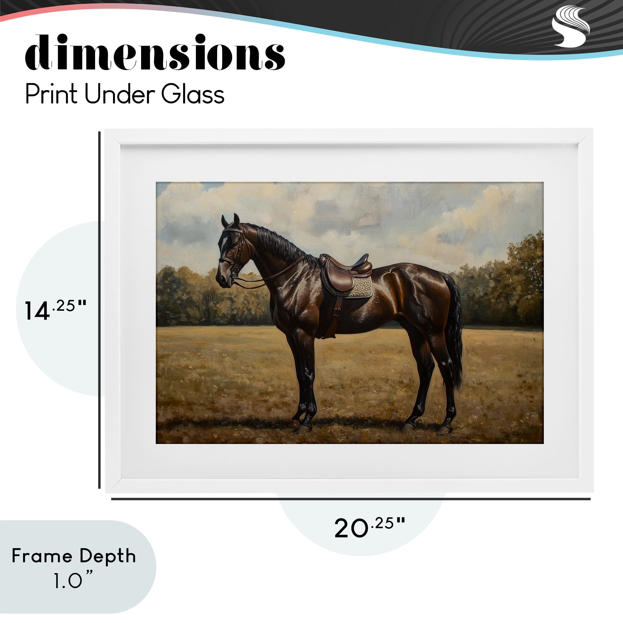 Stupell Industries Dark Brown Pony Portrait White Framed Print Under Glass, design by Petal Prints Design