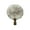 Polished Brass - Pack of 1, variant on Royal Designs, Inc. Natural Coral Lamp Finial for Lamp Shade, F-5069PB-1, Polished Brass, Single