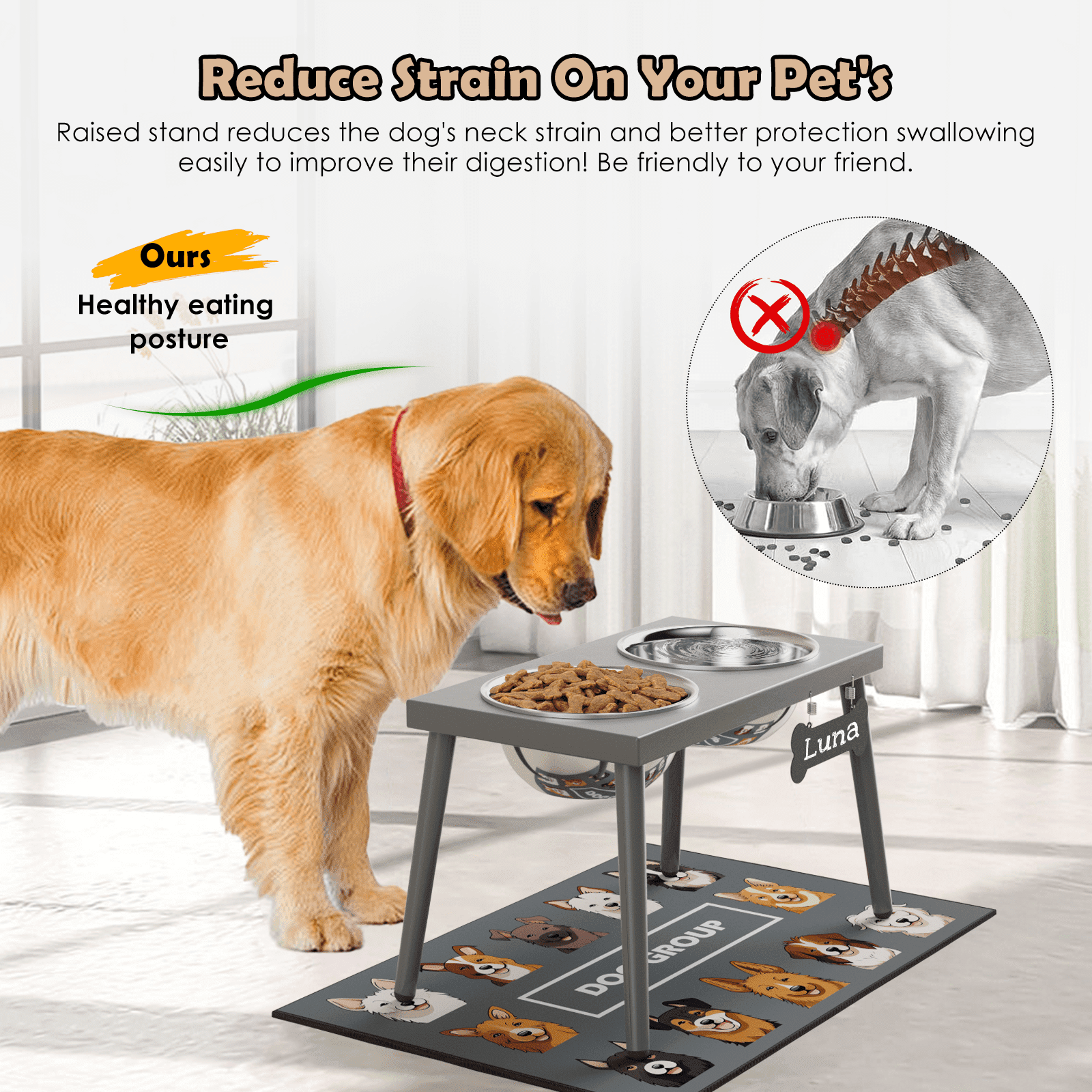 SHAINFUN Raised Dog Bowl Stand, 10" Tall  Stronger Dog Feeder with 16*24 in Mat and 2 58oz Bowls