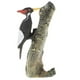 thumbnail image 2 of Figuras de animales de juguete,Figuras modelo pájaro carpintero,Juguete educativo ños,modelo de pájaro,Decoración del hogar regalo ños coleccionable Sunnimix Figuras de animales de juguete, 2 of 8