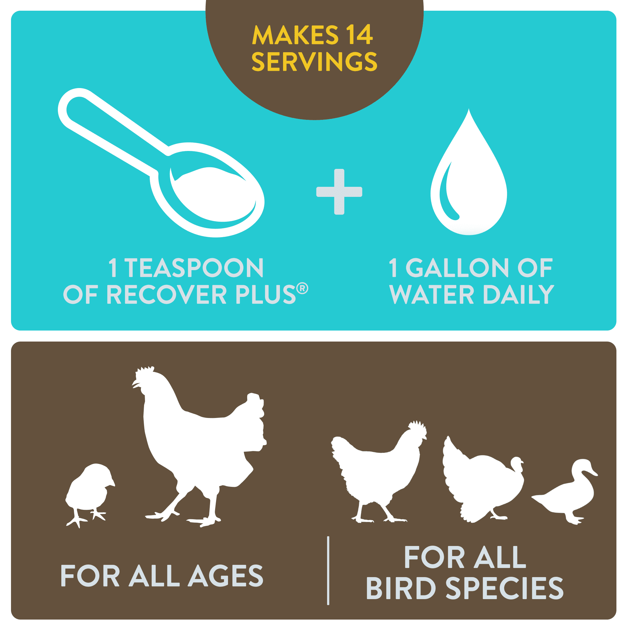 FlockLeader Recover Plus Poultry Supplement for Chickens, 2.5 Ounce