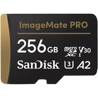 SanDisk 256GB microSDXC Memory Card, Nintendo Switch Storage