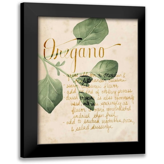 Popp, Grace 15x18 Black Modern Framed Museum Art Print Titled - Herb Study III