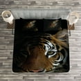 thumbnail image 3 of Ambesonne Tiger Quilted Bedspread Set 3 Pcs, King of Sundarbans, Queen Size, Dark Orange Black, 3 of 3