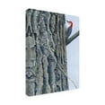 thumbnail image 2 of Trademark Fine Art 'Red Bellied Woodpecker II' Canvas Art by Fred Szatkowski, 2 of 4