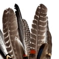 thumbnail image 2 of Tocado De Plumas, Decoración, Accesorios Fotográficos Para Festivales, Disfraces Burlescos, 2 of 7