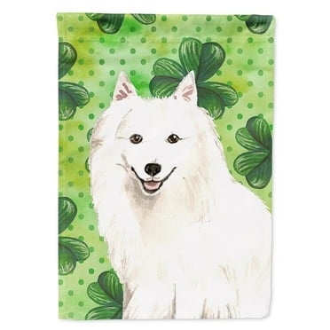 Carolines Treasures CK1801CHF Shamrocks Japanese Spitz Flag Canvas House Size  Large multicolor