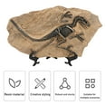 thumbnail image 3 of Figura Fósil De Esqueleto De Dinosaurio, Modelo Fósil De Dinosaurio, Resina Educativa Decorativa Con Soporte Para Vitrina, 3 of 7
