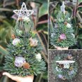 thumbnail image 4 of De Árbol De Navidad Con Resina De Estrella Suculentas Artificiales Realistas Plantas Adorno De Escritorio Decoración De Navidad Regalos sonducket HA040740-01, 4 of 6