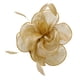 thumbnail image 3 of Venda de la mujer Hugo Hatinator de Diadema Dorado, 3 of 10