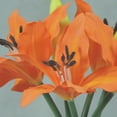 thumbnail image 5 of 1 Pc, 11.5 Inch Tiger Lily Bundle w/4 Blooms Perfect For Decorations, Bridal Showers/Wedding Bouquets & Centerpieces - Cream, 5 of 5
