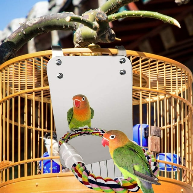 Juguetes para pájaros, soporte para loros, percha de cuerda de algodón, parque infantil, juguetes para jugar, juguetes con espejos, juguetes para mast L