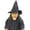 Classic Pale, variant on Scary Witch Latex Mask with Hat and Long Hair, Creepy Evil Hag Mask for Halloween Cosplay Party