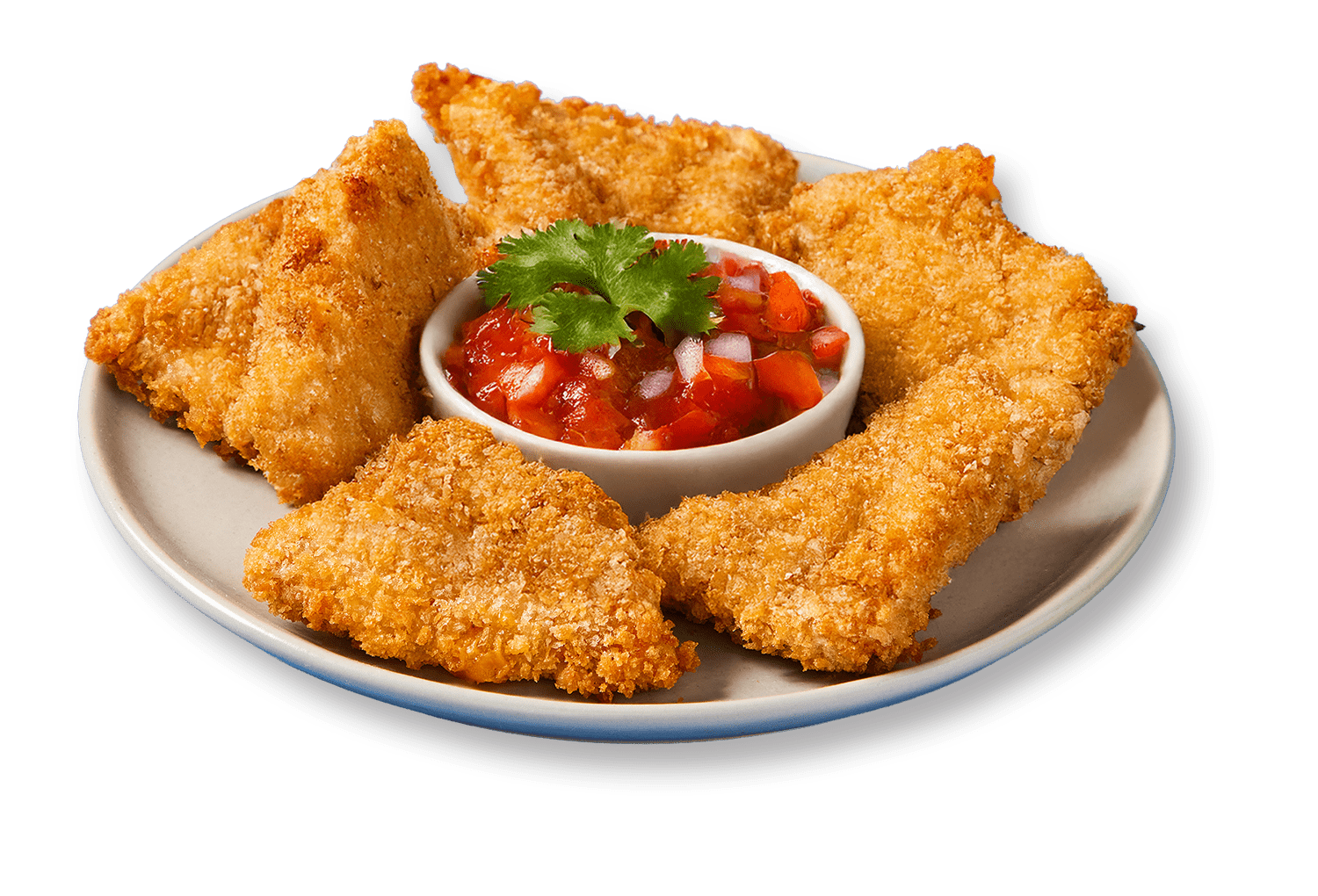 Watson Ridge Santa Fe Nacho Chicken Nuggets, WR Santa Fe Nacho Chicken Nuggets